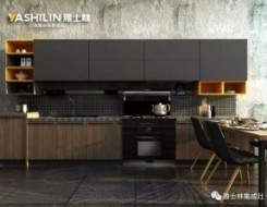 雅士林集成灶圖庫(kù)，集成灶廚房裝修效果圖
