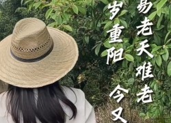 【重陽(yáng)節(jié)桂花糕】“桂花雨”落在松軟的米糕上，連著桂花蜜的甜味融化在舌尖上，這份獨(dú)屬于秋天的歡迎儀式，連帶著重陽(yáng)節(jié)的獻(xiàn)禮一起和大家分享！